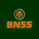 bn55 game